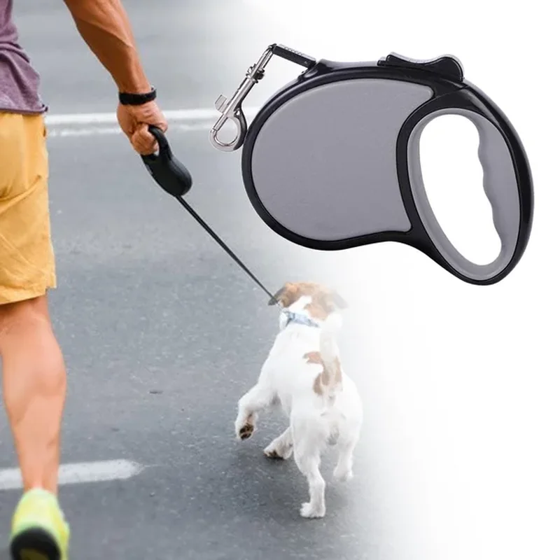 Correa retráctil gris paseando a un perro